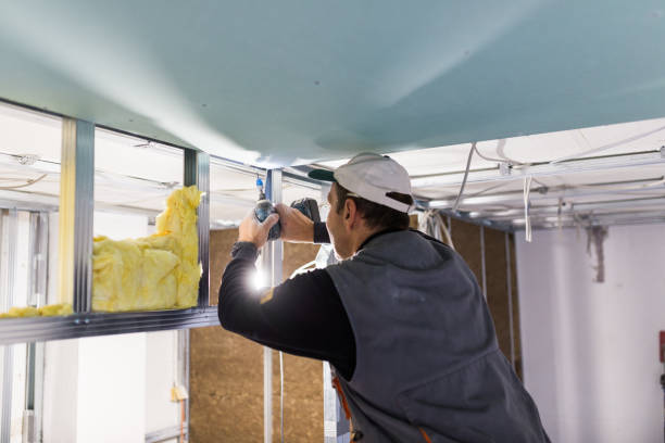 Best Spray Foam Insulation in Jamaica Beach, TX