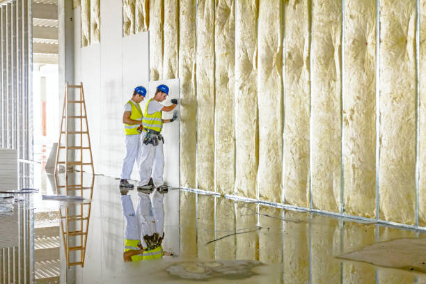 Best Blown-in Insulation in Jamaica Beach, TX